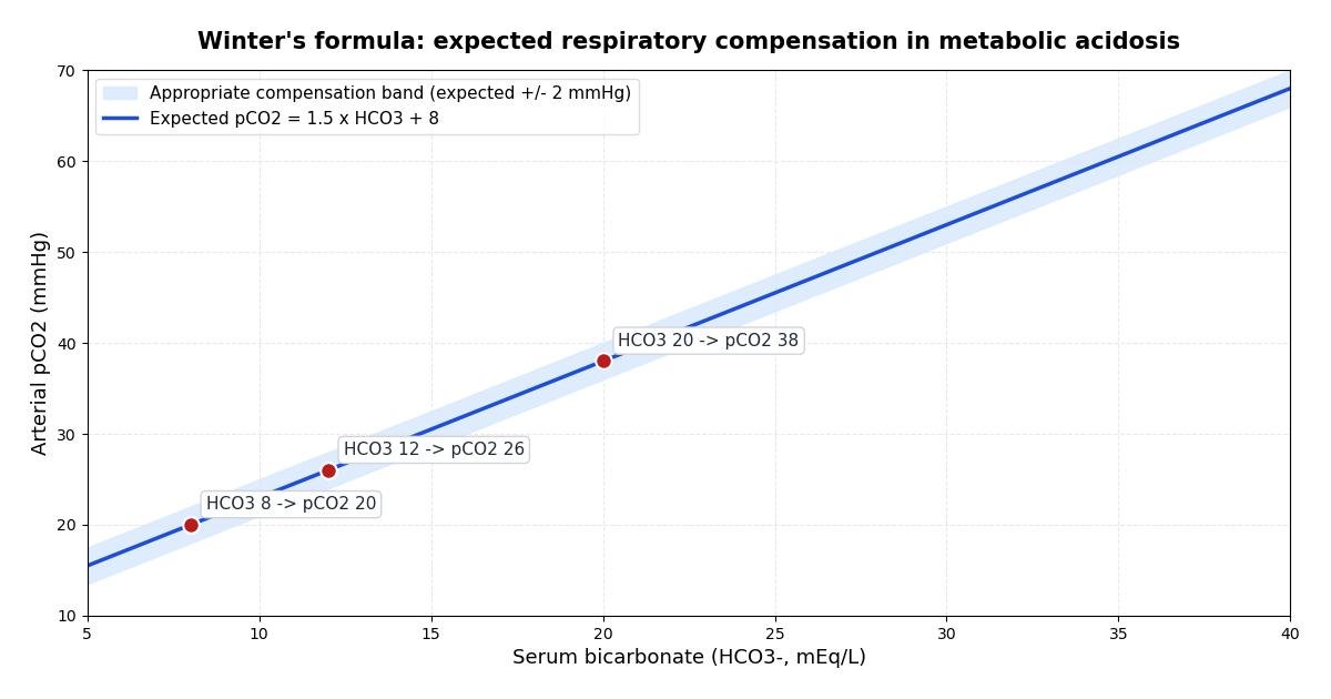 Line chart of Winter's formula showing expected arterial pCO2 rising with serum bicarbonate, with the plus-or-minus-2 mmHg appropriate compensation band shaded and worked-example markers at bicarbonate 8, 12, and 20 mEq per litre