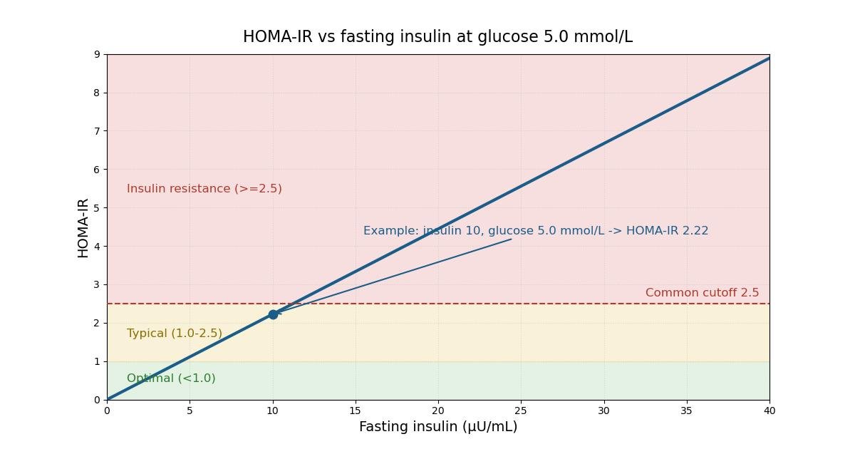 Line chart of HOMA-IR against fasting insulin at a typical fasting glucose of 5.0 mmol/L, with shaded interpretation bands: optimal below 1.0, typical from 1.0 to 2.5, and insulin resistance at or above 2.5