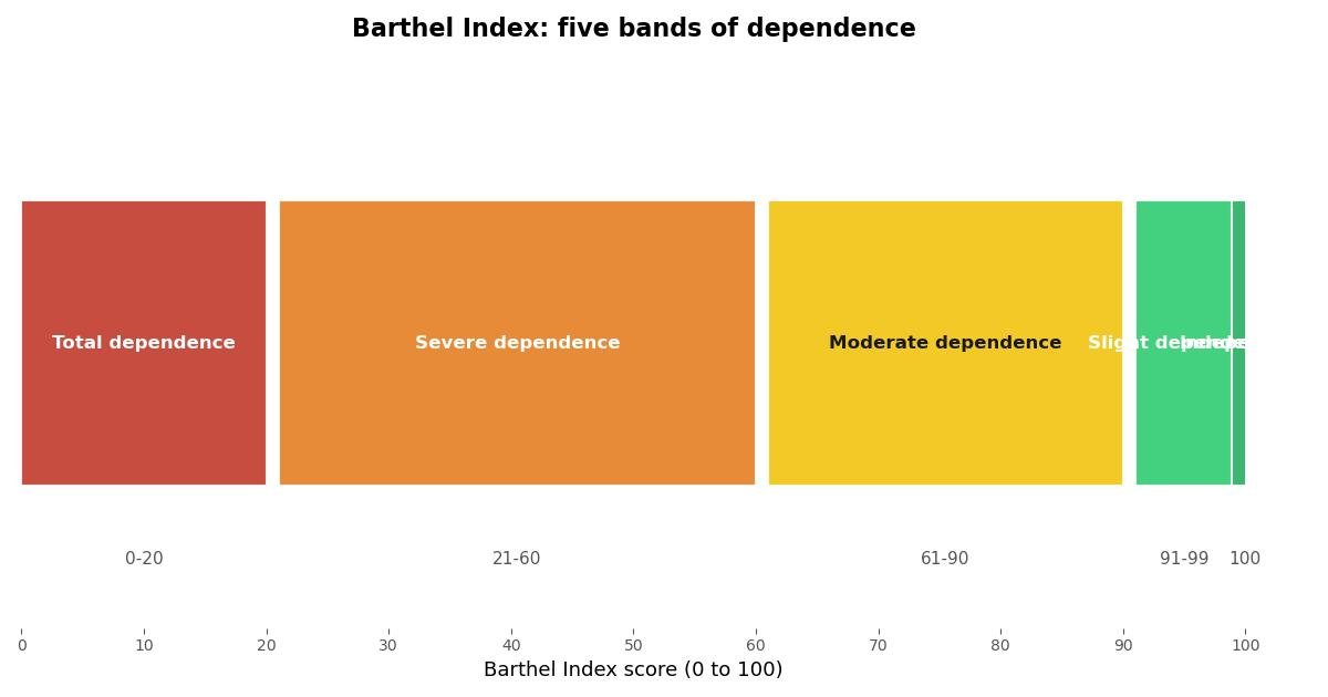 Barthel Index dependence bands: total dependence 0 to 20, severe dependence 21 to 60, moderate dependence 61 to 90, slight dependence 91 to 99, and independence at 100