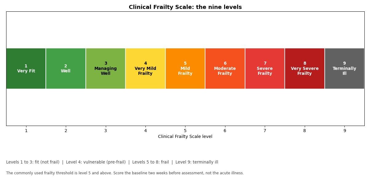Chart of the nine Clinical Frailty Scale levels grouped into fit (levels 1 to 3), vulnerable (level 4), frail (levels 5 to 8) and terminally ill (level 9)