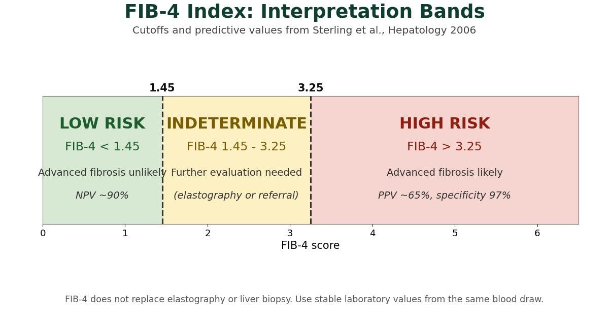 Chart of the FIB-4 interpretation bands: scores below 1.45 indicate low risk of advanced fibrosis with a negative predictive value of about 90 percent, scores from 1.45 to 3.25 are indeterminate and need further evaluation, and scores above 3.25 indicate high risk of advanced fibrosis with a positive predictive value of about 65 percent and specificity of 97 percent, per Sterling et al., Hepatology 2006.