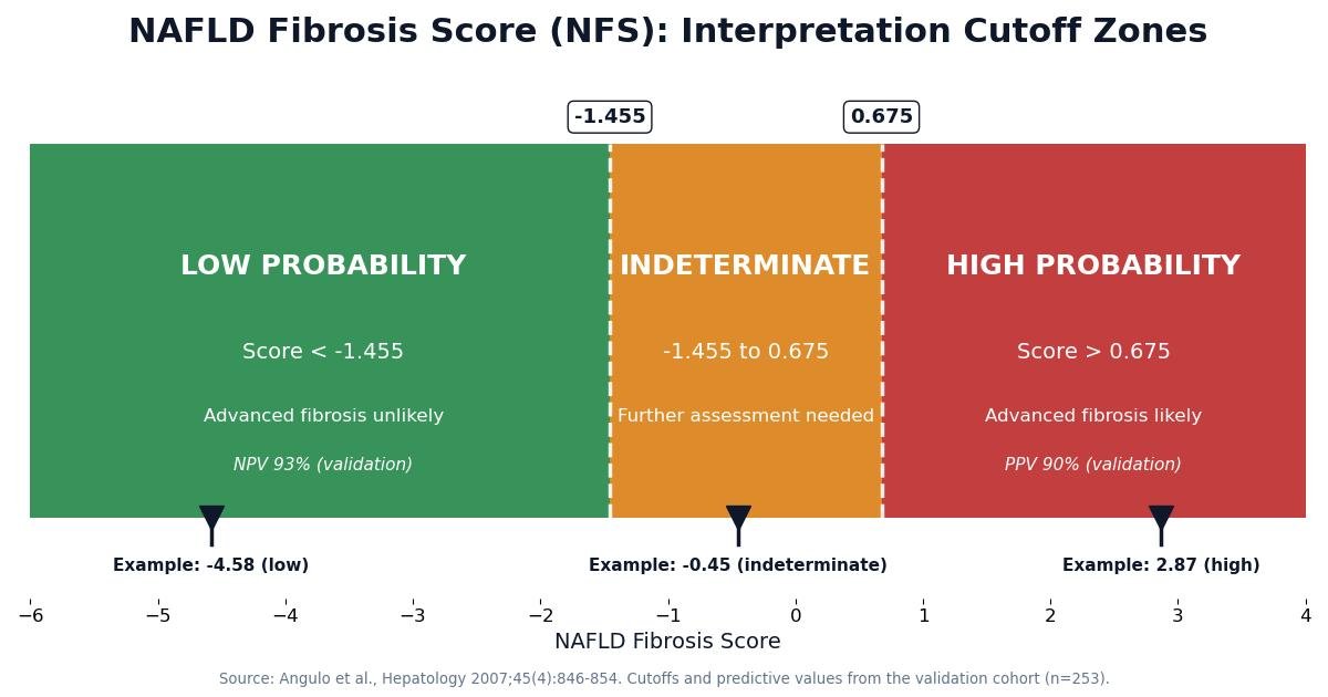 Chart of the NAFLD Fibrosis Score cutoff zones: low probability below -1.455, indeterminate from -1.455 to 0.675, and high probability above 0.675, with example scores plotted.