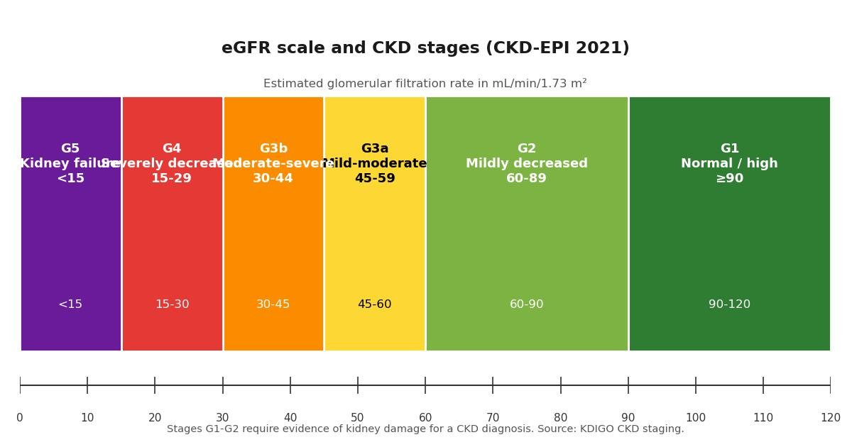 CKD-EPI 2021 eGFR Calculator reference chart