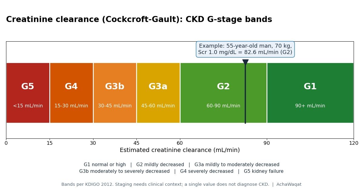 Creatinine Clearance Calculator (Cockcroft-Gault) reference chart