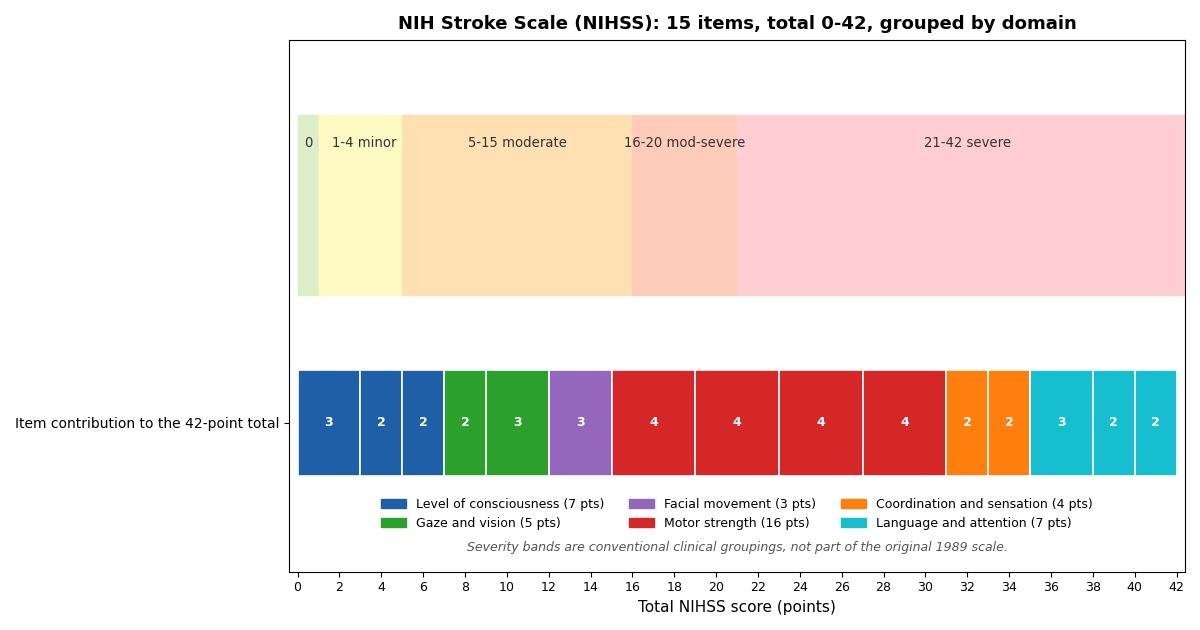 Stacked bar chart showing how the 15 NIHSS items contribute to the 42-point total, grouped by domain, with the conventional severity bands marked along the score axis.
