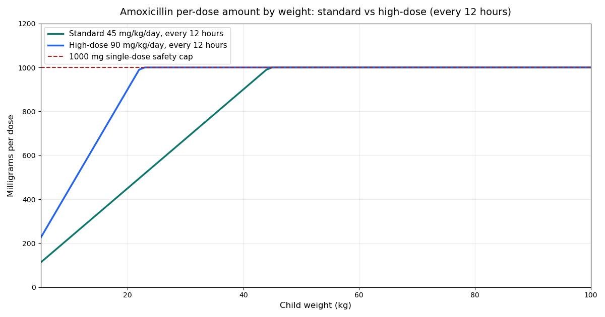 Chart of amoxicillin milligrams per dose by child weight from 5 to 100 kg, comparing the standard 45 mg per kg per day regimen with the high-dose 90 mg per kg per day regimen on an every-12-hour schedule, with the 1000 mg single-dose safety cap marked