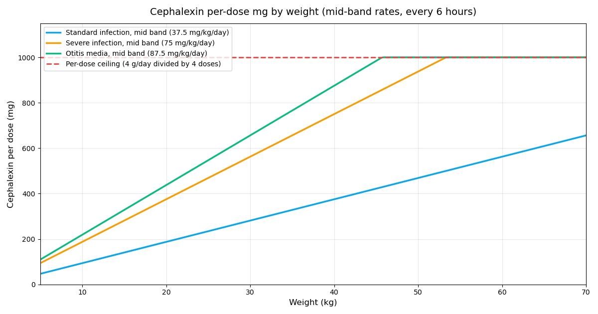 Chart of cephalexin per-dose milligrams by child weight for the standard, severe, and otitis media indication bands, showing the per-dose ceiling from the 4 gram daily maximum.
