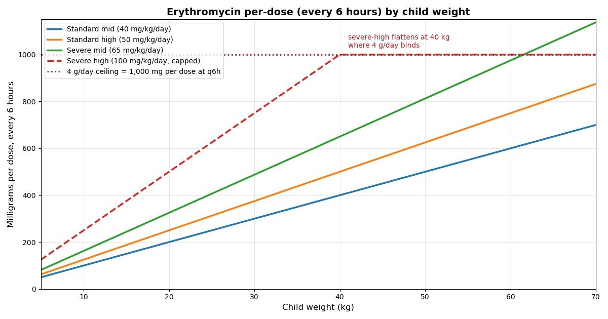 Chart of erythromycin milligrams per dose every 6 hours by child weight from 5 to 70 kg for the standard mid, standard high, severe mid and severe high band positions, showing the severe high curve flattening at the 4 g per day ceiling