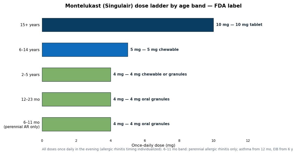 Montelukast dose ladder by age band: 4 mg granules for 6-23 months, 4 mg chewable or granules for 2-5 years, 5 mg chewable for 6-14 years, 10 mg tablet from 15 years