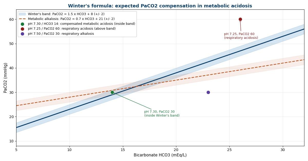 Winter's formula compensation band: expected PaCO2 plotted against bicarbonate with a plus-or-minus 2 mmHg band, showing a compensated metabolic acidosis example inside the band.