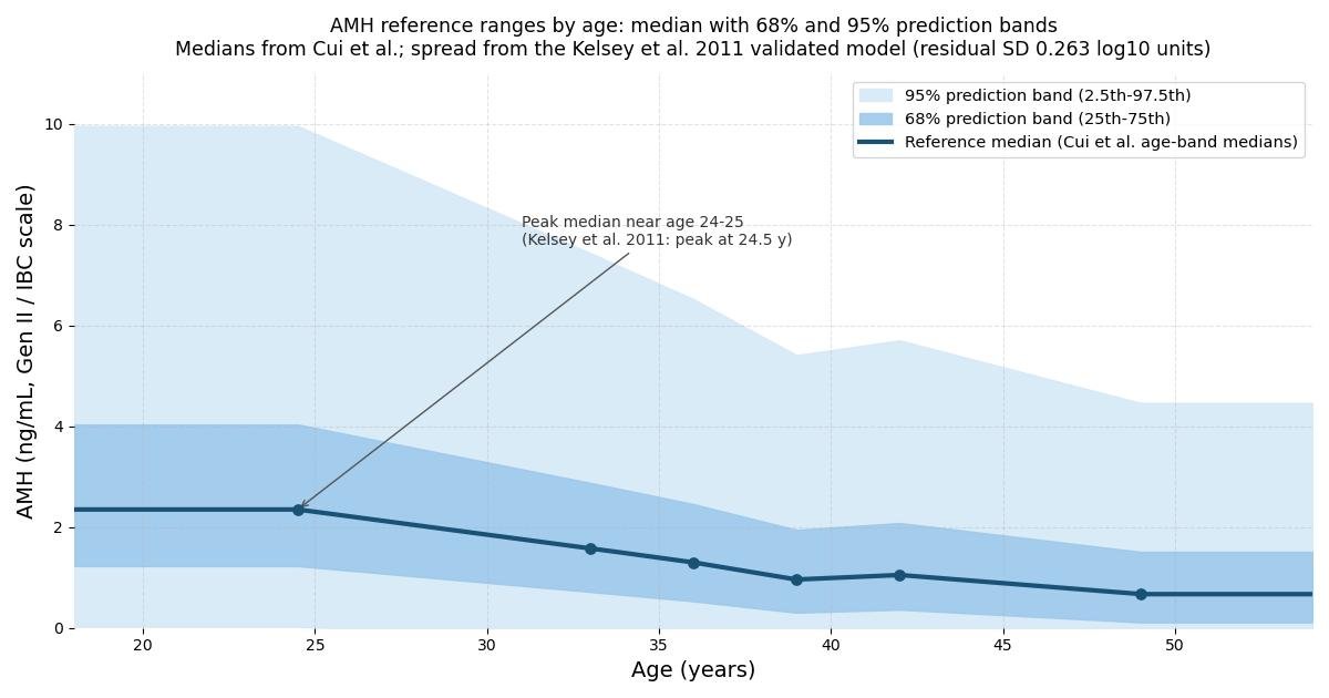 AMH reference ranges by age: median curve with 68 percent and 95 percent prediction bands from ages 18 to 54, showing the peak near age 24 to 25 and a steady decline toward menopause