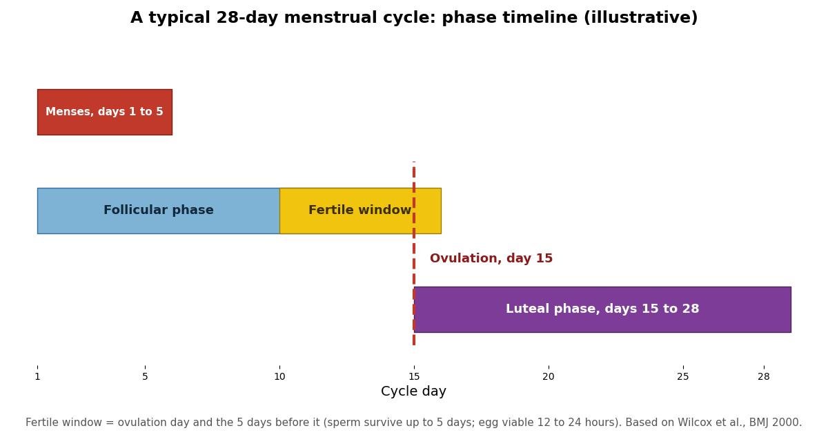 Timeline of a typical 28-day menstrual cycle showing menses on days 1 to 5, the fertile window on days 10 to 15, ovulation on day 15, and the luteal phase through day 28.