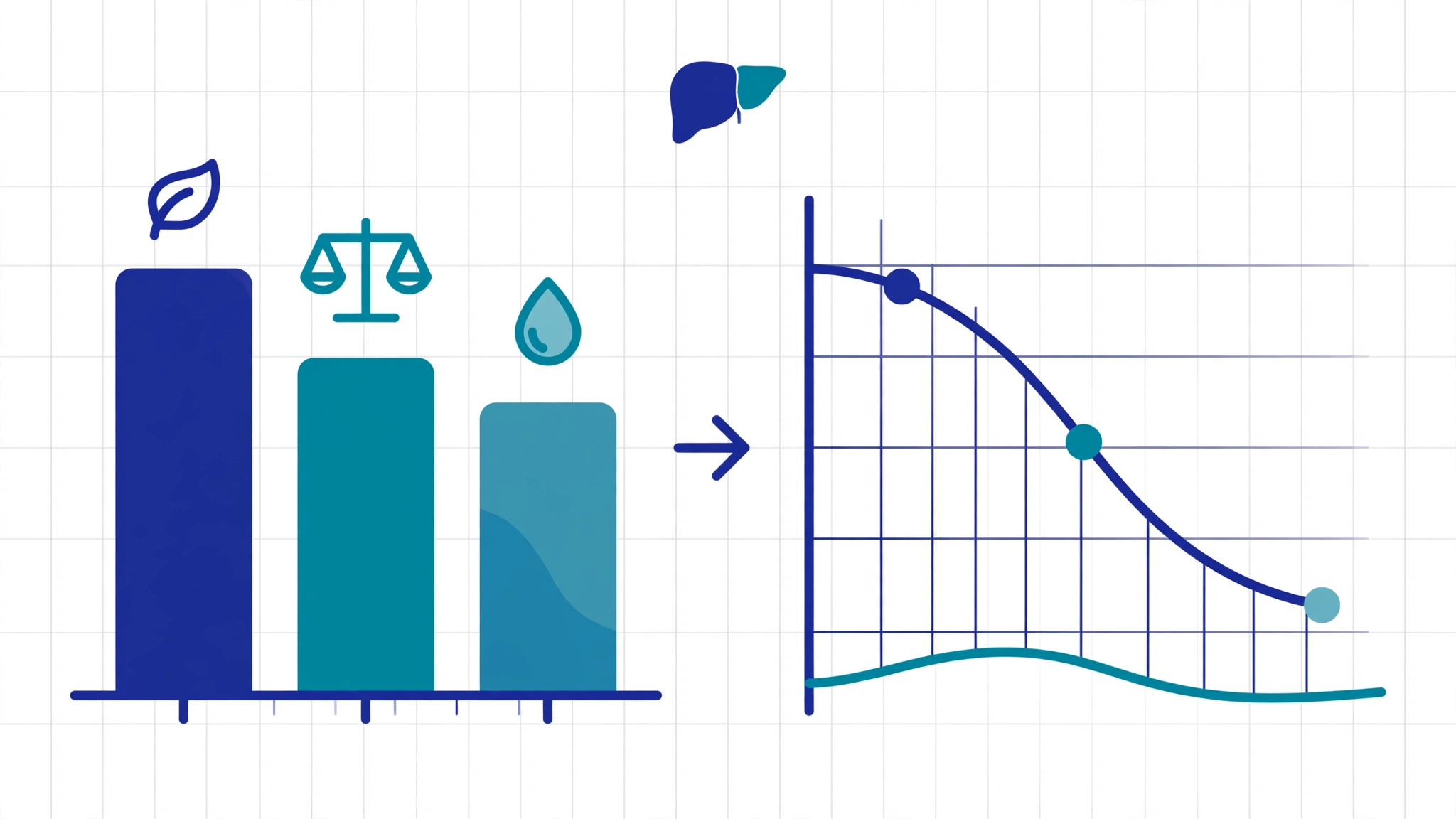 Flat vector infographic comparing keto diet liver fat reduction across three diet groups in a clinical trial, in deep blue and teal on a white background.